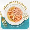 imageFancy Feast Lickable Appetizers Grain Free Wet Cat Food Variety Pack  2 Packs of 12 11 oz TraysAppetizers  Broths Variety Pack