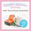 imageFancy Feast Purina Gourmet Gravy Petites Tender Salmon Pate Gourmet Wet Kitten Food  Pack of 12 28 oz Tubs