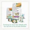 imagePurina Fancy Feast Dry Cat Food with Ocean Fish and Salmon  3 lb Bag3 Pound Pack of 1