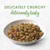 imagePurina Fancy Feast Dry Cat Food with Savory FarmRaised Chicken and Turkey  12 lb BagOcean Fish And Salmon