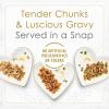 imagePurina Fancy Feast Gourmet Cat Food Petites Gravy Collection Gravy Wet Cat Food Variety Pack breakapart tubs  Pack of 24 28 Ounce CansVariety Pack