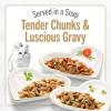 imagePurina Fancy Feast Gourmet Cat Food Petites Gravy Collection Gravy Wet Cat Food Variety Pack breakapart tubs  Pack of 24 28 Ounce CansVariety Pack