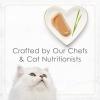 imagePurina Fancy Feast Gourmet Wet Cat Food Variety Pack Petites Pate Collection breakapart tubs 24 servings  Pack of 12 28 oz Tubs