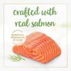 imagePurina Fancy Feast Gravy Lovers Salmon Feast Grilled Gourmet Cat Food in Wet Cat Food Gravy  Pack of 24 3 oz Cans
