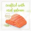 imagePurina Fancy Feast Grilled Wet Cat Food Salmon Feast in Wet Cat Food Gravy  Pack of 24 3 oz CansSalmon