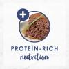 imagePurina Fancy Feast High Protein Senior Wet Cat Food Variety Pack Senior 7 Chicken Beef ampamp Tuna Feasts  2 Packs of 12 3 oz CansVariety Pack