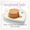 imagePurina Fancy Feast Kitten Tender Chicken Feast Wet Kitten Food Pate  Pack of 24 3 oz Cans