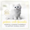 imagePurina Fancy Feast Kitten Tender Salmon Feast Wet Kitten Food  Pack of 24 3 Oz Cans