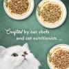 imagePurina Fancy Feast Medleys 12 Ct Tuscany Wet Cat Food Variety Pack  12 3 oz Cans  2 Packs of 12 3 oz Cans3 Ounce Pack of 24