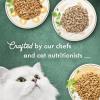 imagePurina Fancy Feast Medleys Poultry Collection Wet Cat Food Variety Pack  Pack of 30 3 oz Cans