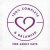 imagePurina Fancy Feast Savory Centers With Salmon Wet Cat Food Pate with Gourmet Gravy Center  Pack of 24 3 oz CansBeef