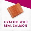 imagePurina Fancy Feast Savory Centers With Salmon Wet Cat Food Pate with Gourmet Gravy Center  Pack of 24 3 oz CansSalmon