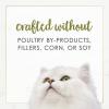 imagePurina Fancy Feast Wet Cat Food Gourmet Naturals White Meat Chicken Recipe in Wet Cat Food Gravy  Pack of 12 3 oz Cans