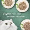 imagePurina Fancy Feast Wet Cat Food Medleys Florentine Wet Cat Food Variety Pack  2 Packs of 12 3 oz Cans225 Pound Pack of 2