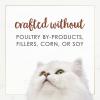 imagePurina Fancy Feast Wet Cat Food Natural Gourmet Naturals Beef Recipe in Wet Cat Food Gravy  Pack of 12 3 oz Cans