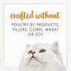 imagePurina Fancy Feast Wet Cat Food Pate Gourmet Naturals Wild Alaskan Salmon Recipe  Pack of 12 3 oz Cans