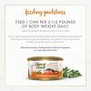 imagePurina Fancy Feast Wet Cat Food Pate Gourmet Naturals Wild Alaskan Salmon Recipe  Pack of 12 3 oz Cans