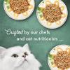 imagePurina Fancy Feast Wet Cat Food Variety Pack Medleys Primavera Collection  2 Packs of 12 3 oz Cans