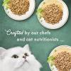 imagePurina Fancy Feast Wet Cat Food Variety Pack Medleys Shredded Fare Collection  2 Packs of 12 3 oz Cans